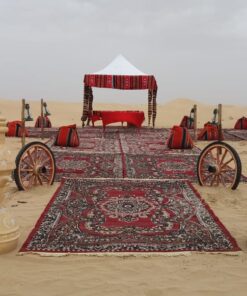VIP Majlis royal desert safari setup for private safari