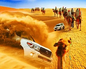 Dubai morning desert safari with sandboarding & camel ride