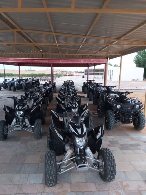 ATV Quad Biking for desert safari